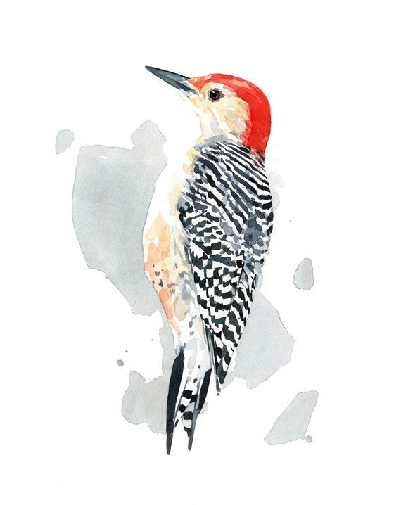Red-bellied Woodpecker Print Watercolor Bird Painting, Bird Wall Art