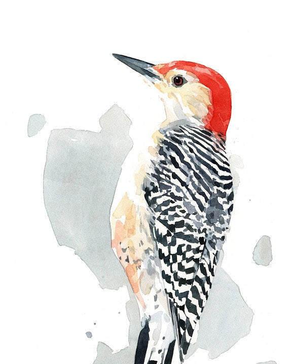 Red-bellied Woodpecker Print Watercolor Bird Painting, Bird Wall Art