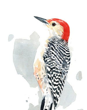 Red-bellied Woodpecker Print Watercolor Bird Painting, Bird Wall Art