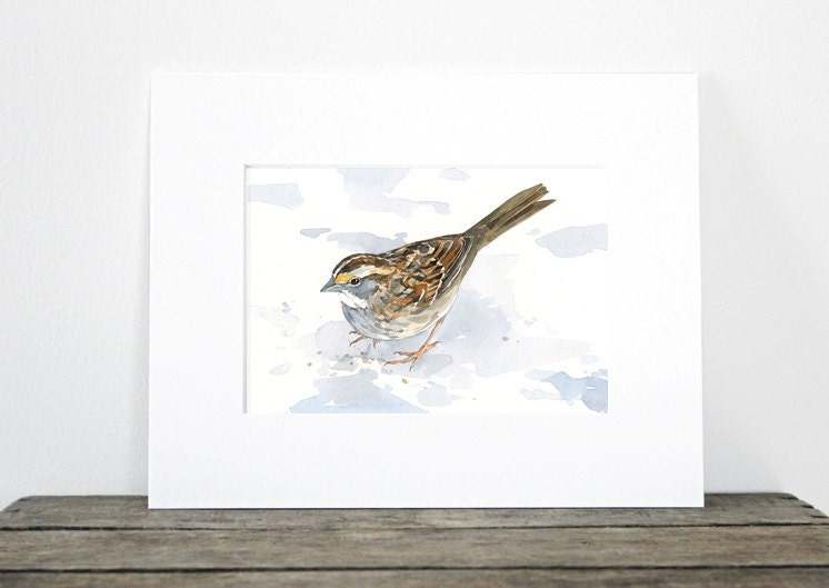 Sparrow Art Print, Bird Watercolor Painting, White Throated Sparrow Audubon Art