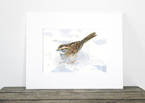 Sparrow Art Print, Bird Watercolor Painting, White Throated Sparrow Audubon Art