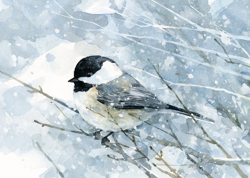 Chickadee in Snow Watercolor Art Print, Bird Painting, Audubon Wall Art