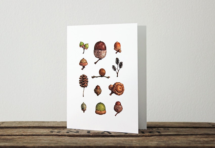 Acorns Watercolor Notecards, Woodland Stationery Set, Fall Card Set
