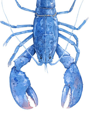 Blue Lobster Watercolor Print, Nautical New England Wall Art