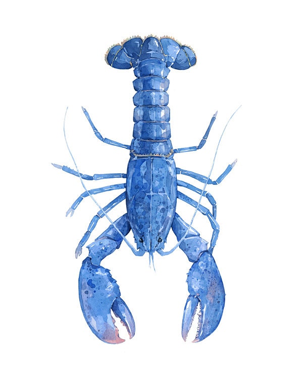 Blue Lobster Watercolor Print, Nautical New England Wall Art