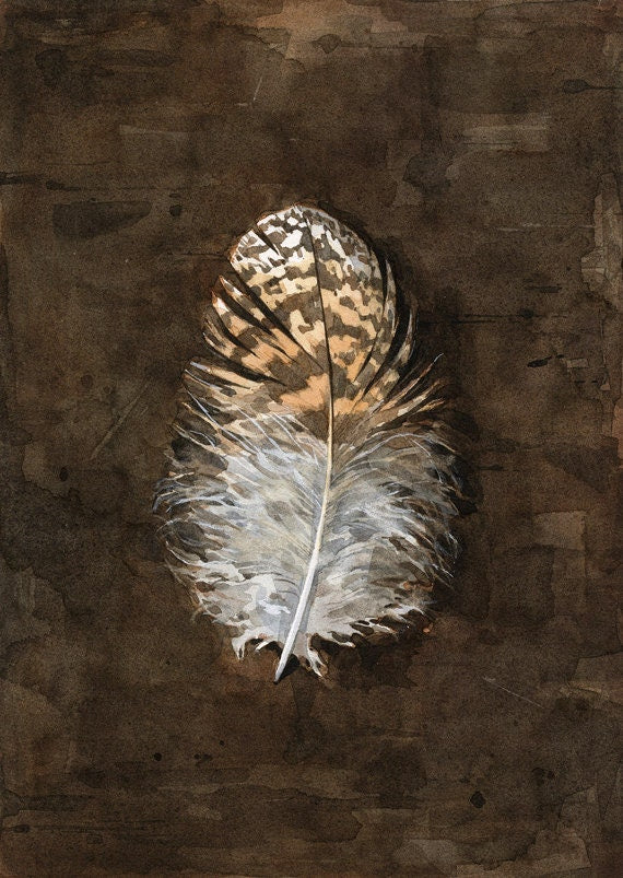 Owl Feather Watercolor Print, rustic nature art print, 5x7