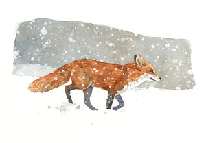 Red Fox in Snow Watercolor Painting, Art Print