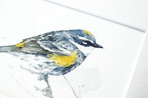 Warbler Art Print, Bird Batercolor, Bird Lover Gift, Yellow- Rumped Warbler Painting 5x7