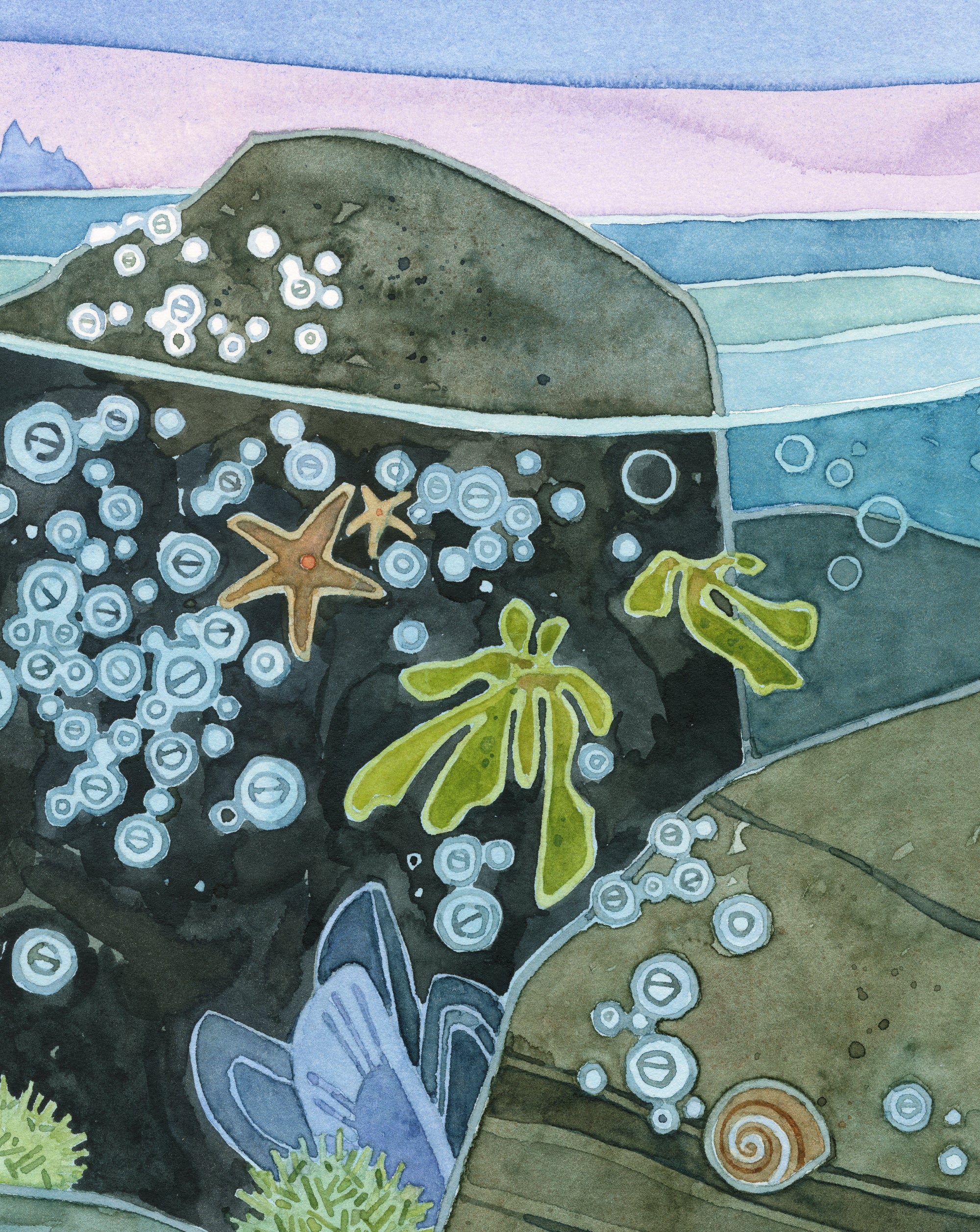Tidepool Watercolor Art Print, Nautical Ocean Wall Art